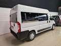 Fiat Ducato 30 2.3 MJT 140CV PC-TN Panorama 9 POSTI Bianco - thumbnail 4