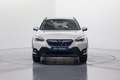 Subaru XV 2.0i Hybrid Executive Plus CVT Blanco - thumbnail 2