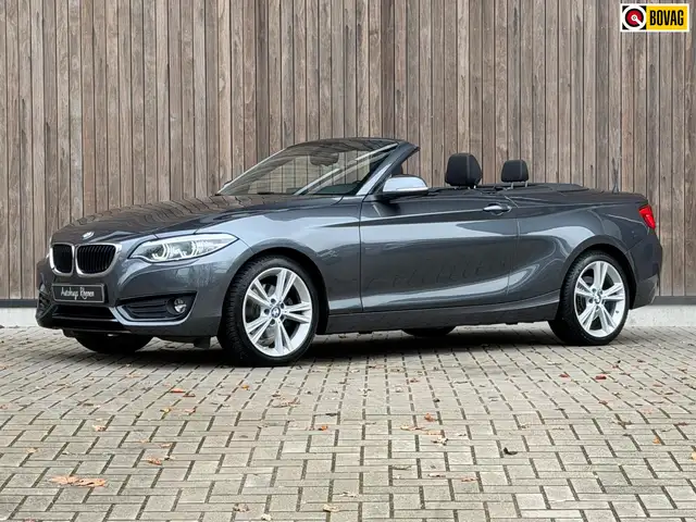 BMW 220 2-serie Cabrio 220i Executive / H&K / Stuurverwarm