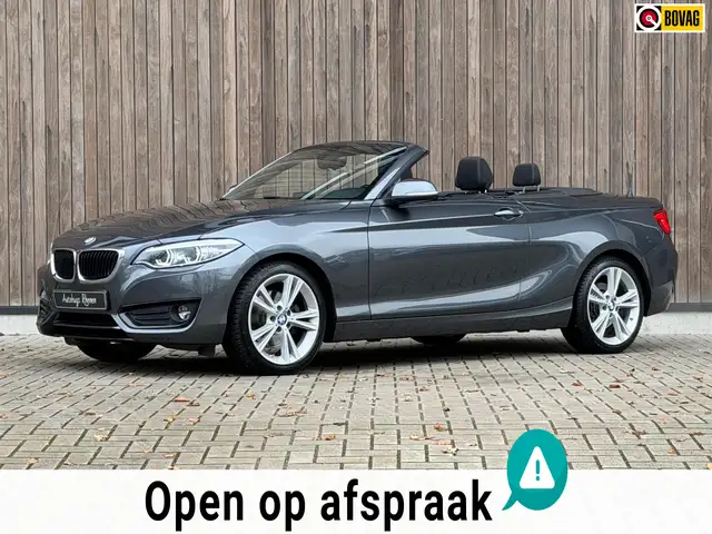BMW 220 2-serie Cabrio 220i Executive / H&K / Stuurverwarm