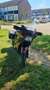 Kawasaki GTR 1000 touring Rouge - thumbnail 6