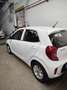 Kia Picanto 1.0 CVVT Eco-Dynamics GT Line Blanco - thumbnail 3