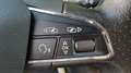 SEAT Leon ST 2.0TDI CR S&S FR Grau - thumbnail 22