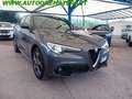 Alfa Romeo Stelvio Stelvio 2.2 t Ti Q4 210cv auto Gris - thumbnail 1