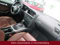 Audi A5 Coupe 3.0 TDI Aut Leder Navi Xenon Pano SHZ Negro - thumbnail 7