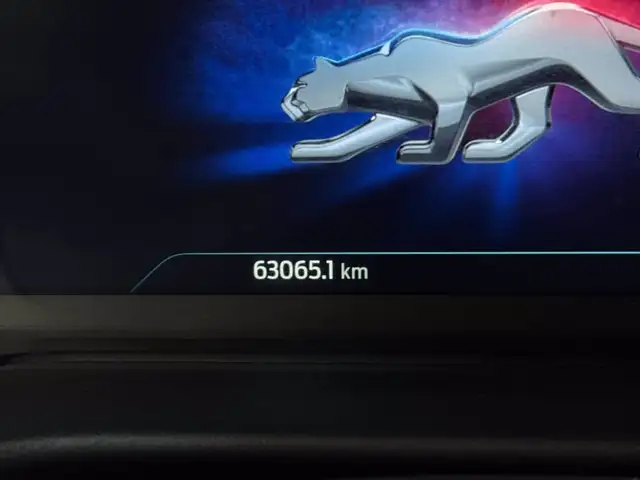 Ford Puma view 16