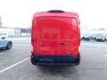 Ford Transit Kasten DoKa 310 L2 Trend Doppelkabine Rosso - thumbnail 6