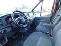 Ford Transit Kasten DoKa 310 L2 Trend Doppelkabine Rosso - thumbnail 9