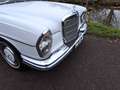 Mercedes-Benz 280 SE Bianco - thumbnail 13