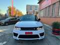 Land Rover Range Rover Sport 3.0 tdV6 HSE Dynamic 249cv auto TETTO Beyaz - thumbnail 3