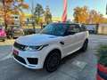 Land Rover Range Rover Sport 3.0 tdV6 HSE Dynamic 249cv auto TETTO Blanco - thumbnail 4