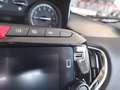 Lancia Ypsilon 1.0 FireFly 5 porte S&S Hybrid Ecochic Gold Rot - thumbnail 14