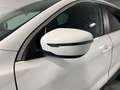 Nissan Qashqai 1.5dCi Visia 4x2 Blanco - thumbnail 23