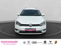 Volkswagen Golf Variant VARIANT 1,4 TSI Navi+PDC Plus+CarPlay+Climatronic Weiß - thumbnail 2