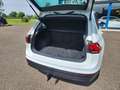 Volkswagen Tiguan 2.0 TSI 4M. Automaat, Trekhaak 2500 trekgewicht! , Wit - thumbnail 20