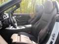 BMW Z4 E89 Roadster sDrive20i Aut. M-Sport Mineralweiss N Weiß - thumbnail 18