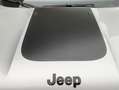 Jeep Renegade 1.0 t3 Business 2wd Argento - thumbnail 6