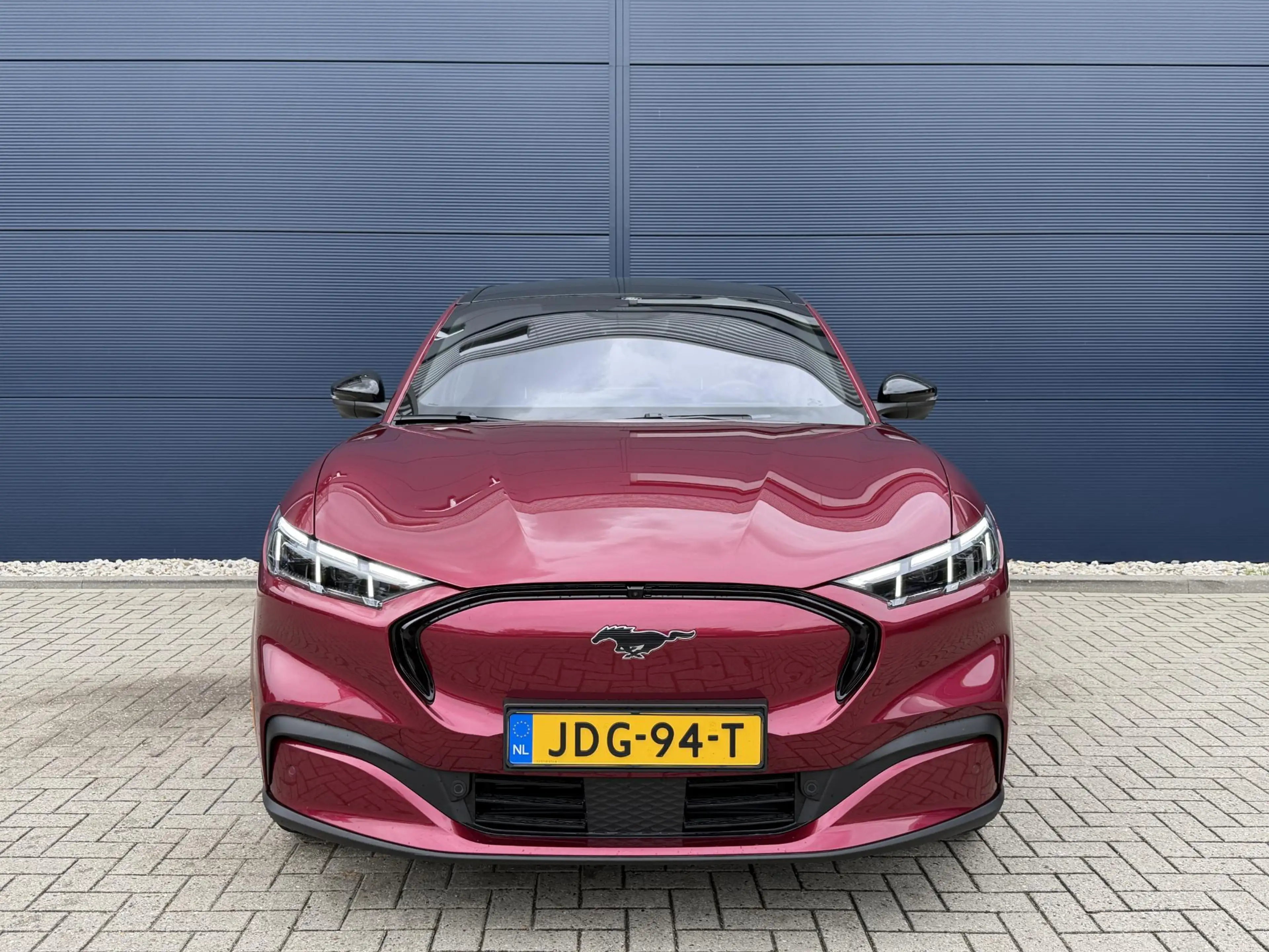 Ford Mustang Mach-E Extended Premium RWD 88 kWh Navigatie | Apple Carp — photo 2