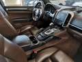 Porsche Cayenne Diesel Platinum Edition 184 KW*TETTO*BOSE*PASM*TE White - thumbnail 19