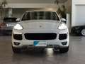 Porsche Cayenne Diesel Platinum Edition 184 KW*TETTO*BOSE*PASM*TE White - thumbnail 2