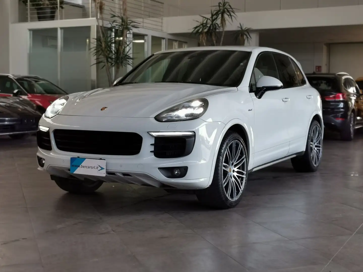 Porsche Cayenne Diesel Platinum Edition 184 KW*TETTO*BOSE*PASM*TE Wit - 1