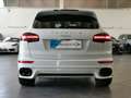 Porsche Cayenne Diesel Platinum Edition 184 KW*TETTO*BOSE*PASM*TE White - thumbnail 5