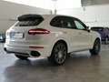 Porsche Cayenne Diesel Platinum Edition 184 KW*TETTO*BOSE*PASM*TE White - thumbnail 4