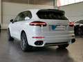 Porsche Cayenne Diesel Platinum Edition 184 KW*TETTO*BOSE*PASM*TE White - thumbnail 6