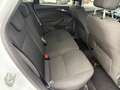 Ford Focus 1.5 TDCI*NEUS PICKERL*AHK*GUTER ZUSTAND* Weiß - thumbnail 12
