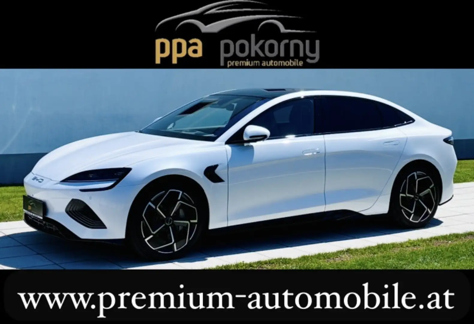 BYD Seal Excellence Österreich Paket 82,5kWh AWD - 1. Be... Weiß - 1
