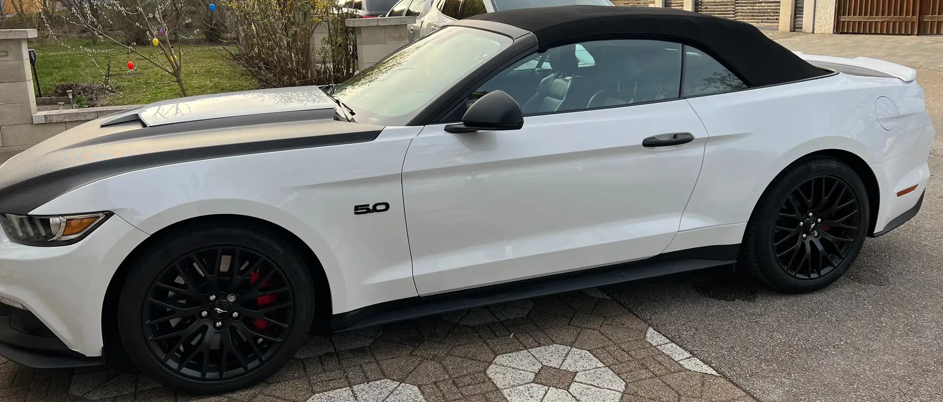 Ford Mustang Mustang 5,0 Ti-VCT V8 GT Cabrio Aut. GT Weiß - 2