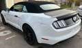 Ford Mustang Mustang 5,0 Ti-VCT V8 GT Cabrio Aut. GT Weiß - thumbnail 4