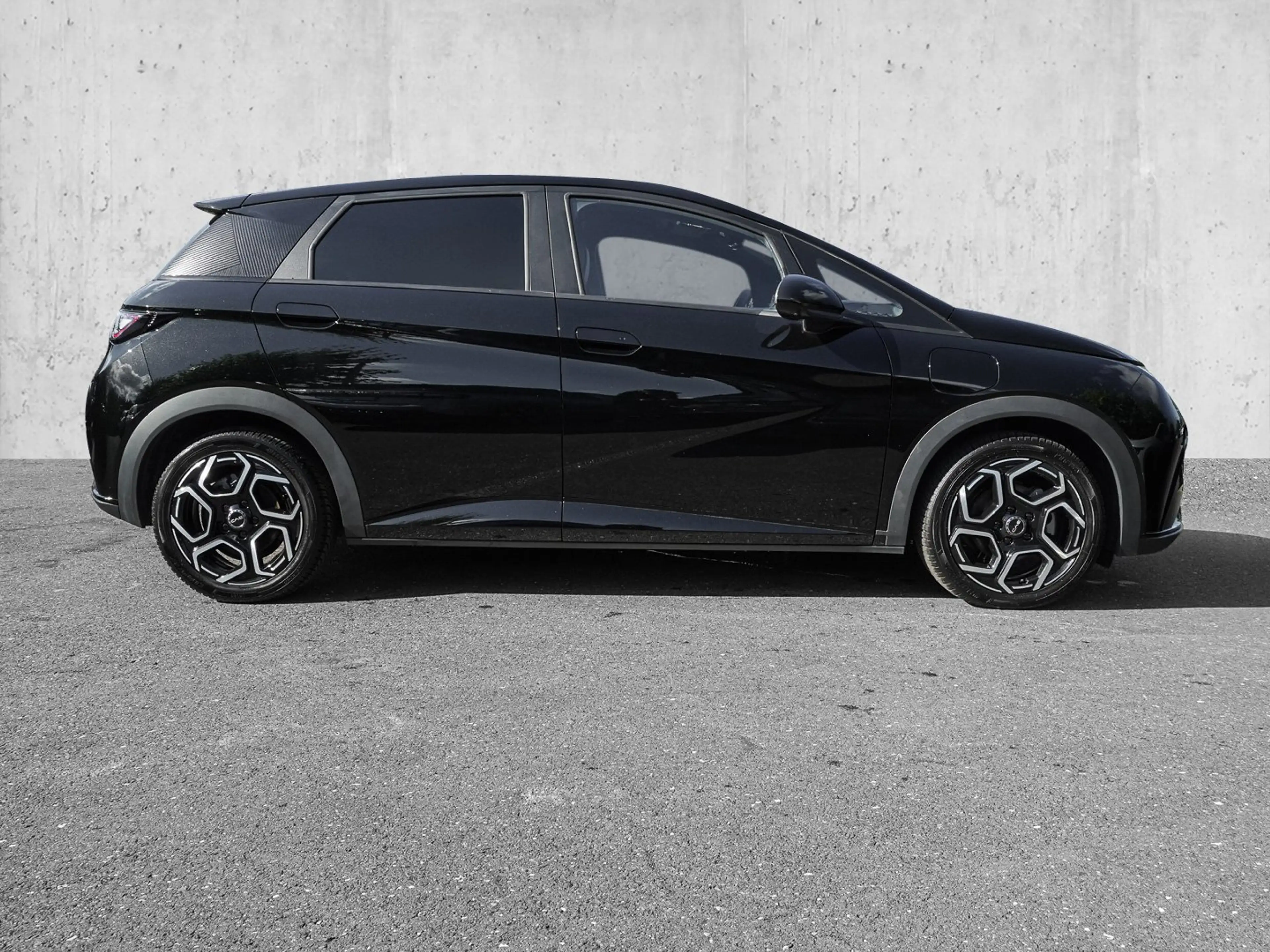 BYD Dolphin Design — photo 4