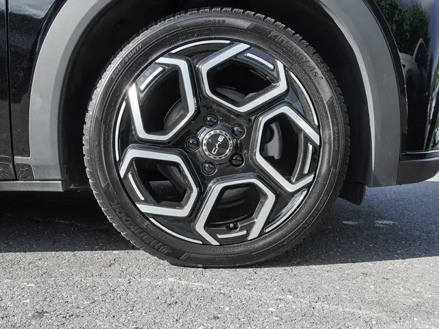 Byd Dolphin view 6