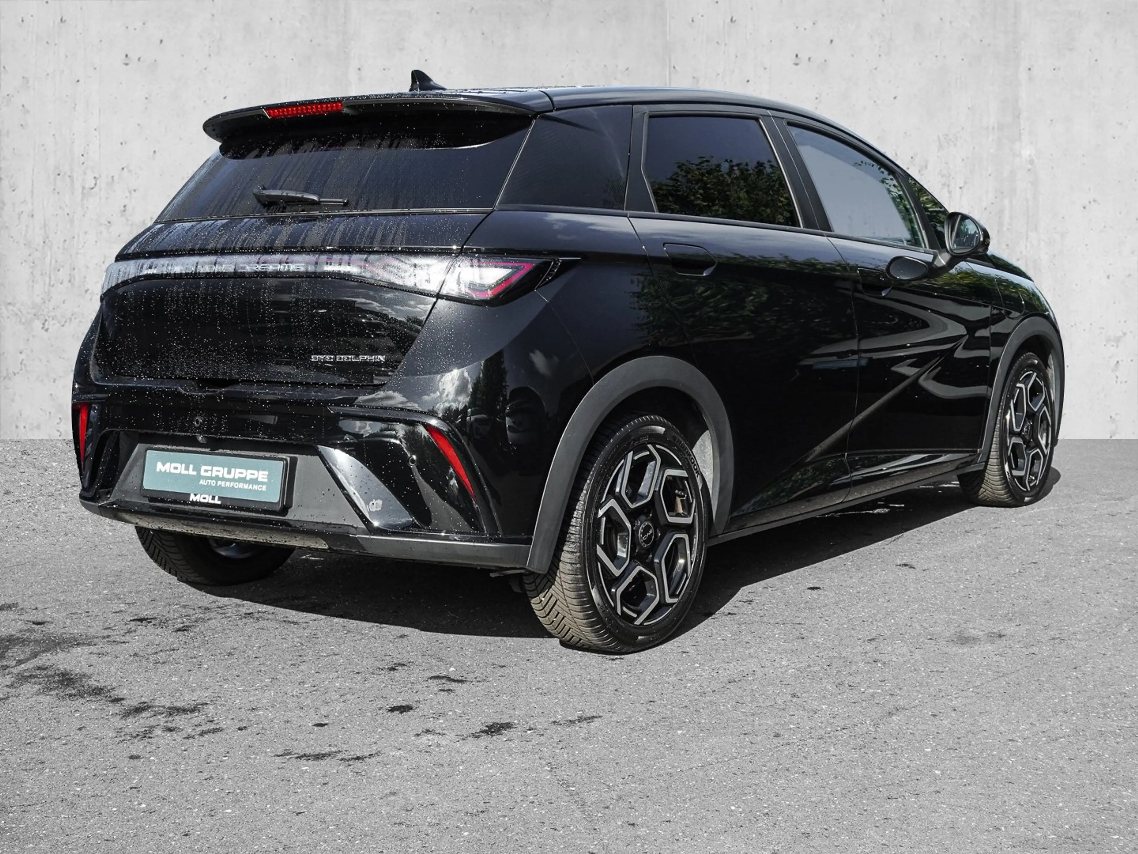 BYD Dolphin Design — photo 3