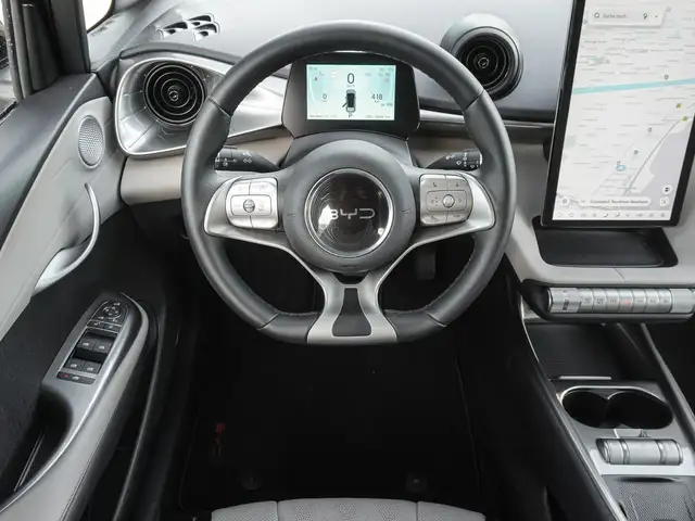 Byd Dolphin view 10
