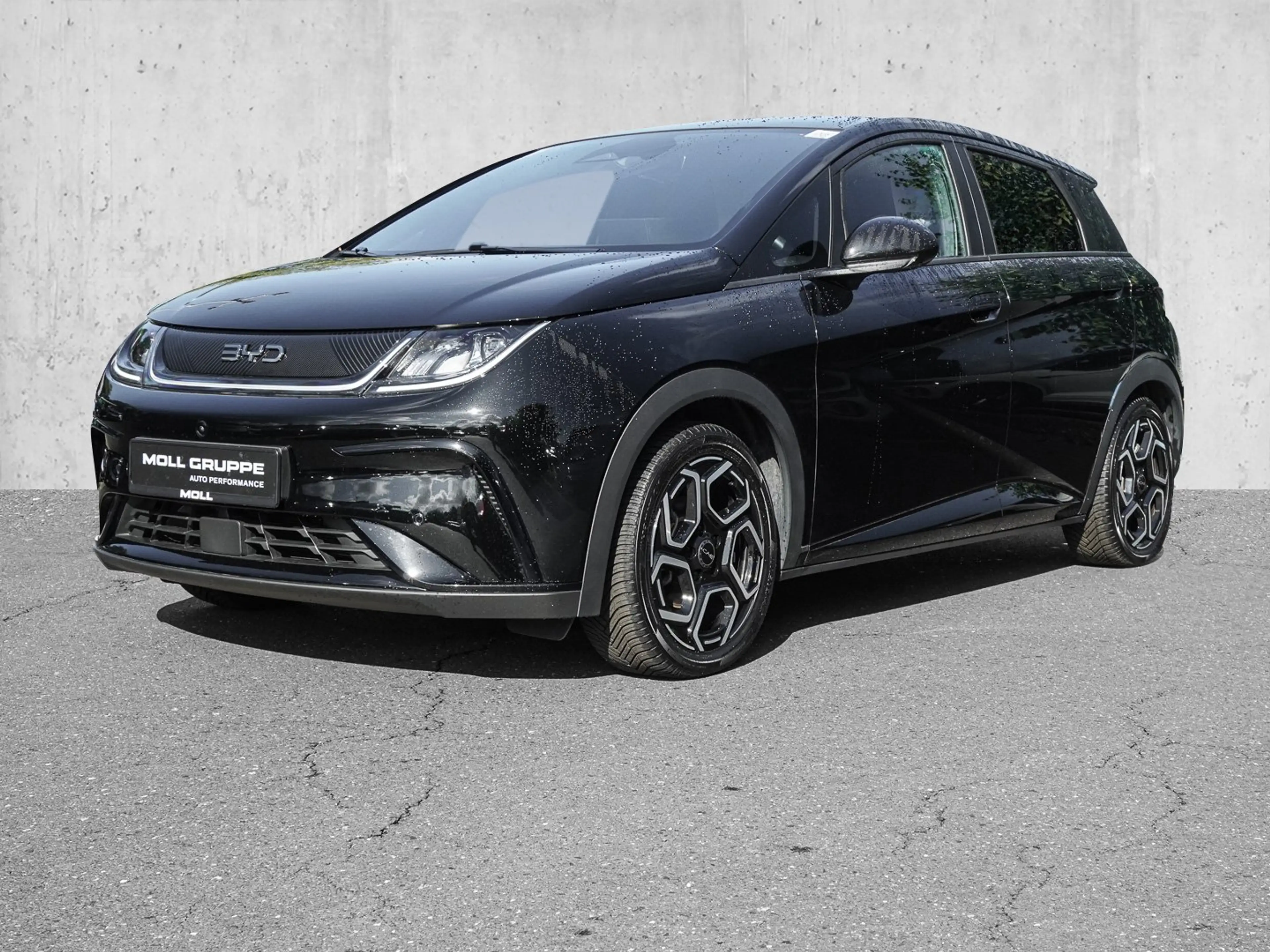 BYD Dolphin Design