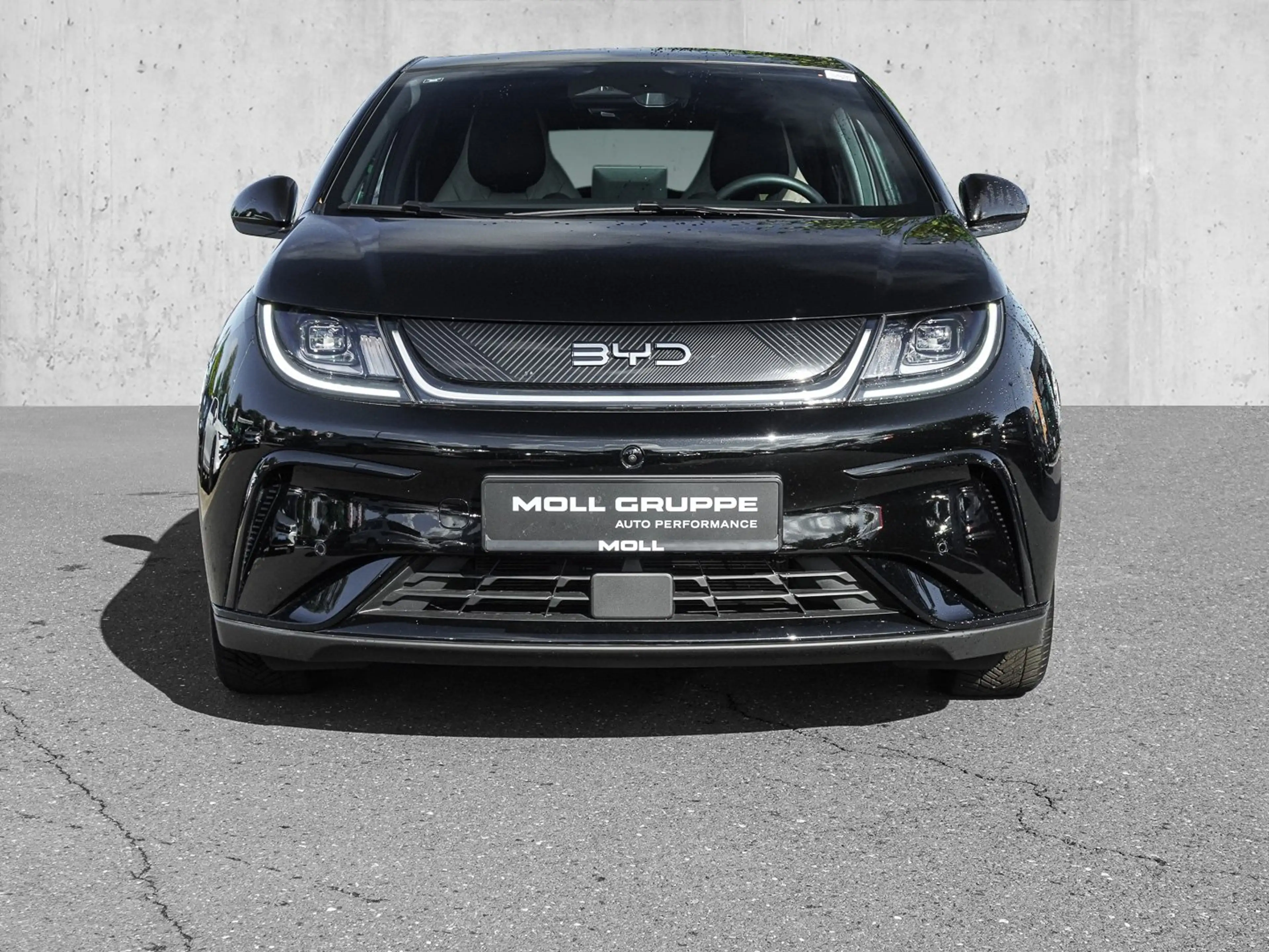 BYD Dolphin Design — photo 2