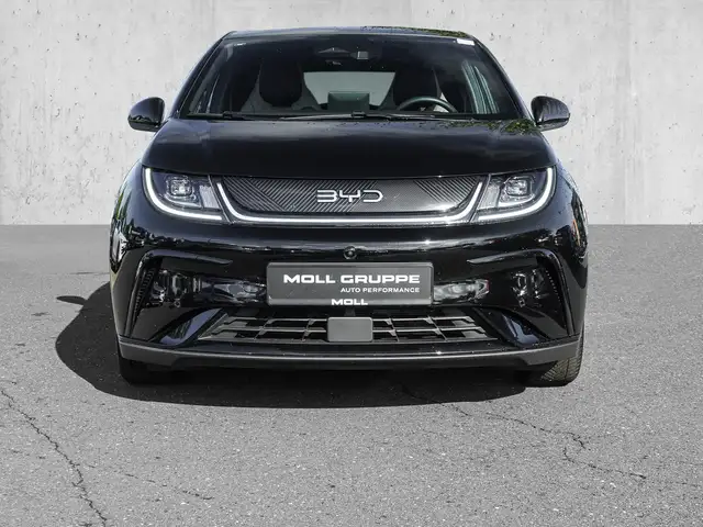 Byd Dolphin view 2