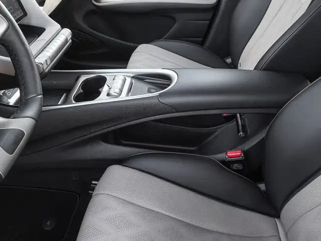 Byd Dolphin view 14