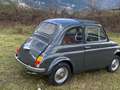 Fiat siva - thumbnail 4