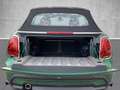 MINI Cooper Cabrio Classic Trim Leder LED DAB LenkradHZG  Rückfahrkam Grün - thumbnail 14