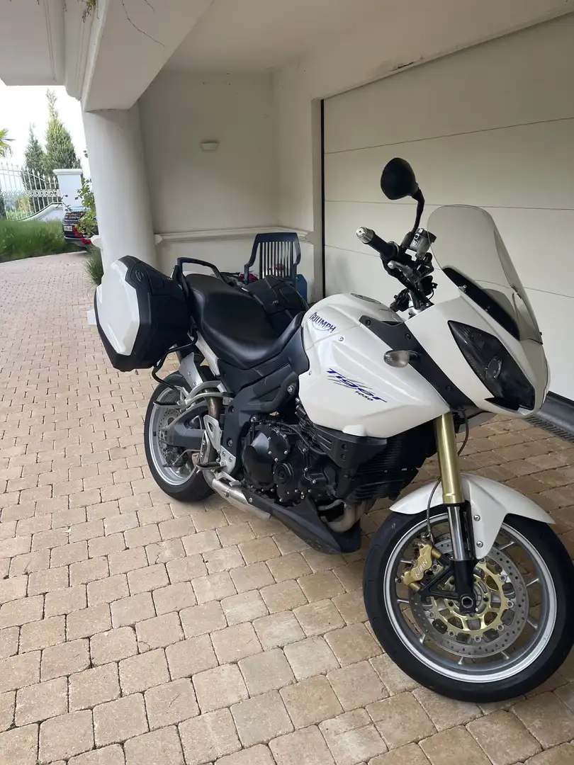 Triumph Tiger 1050 - 1