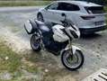 Triumph Tiger 1050 - thumbnail 2