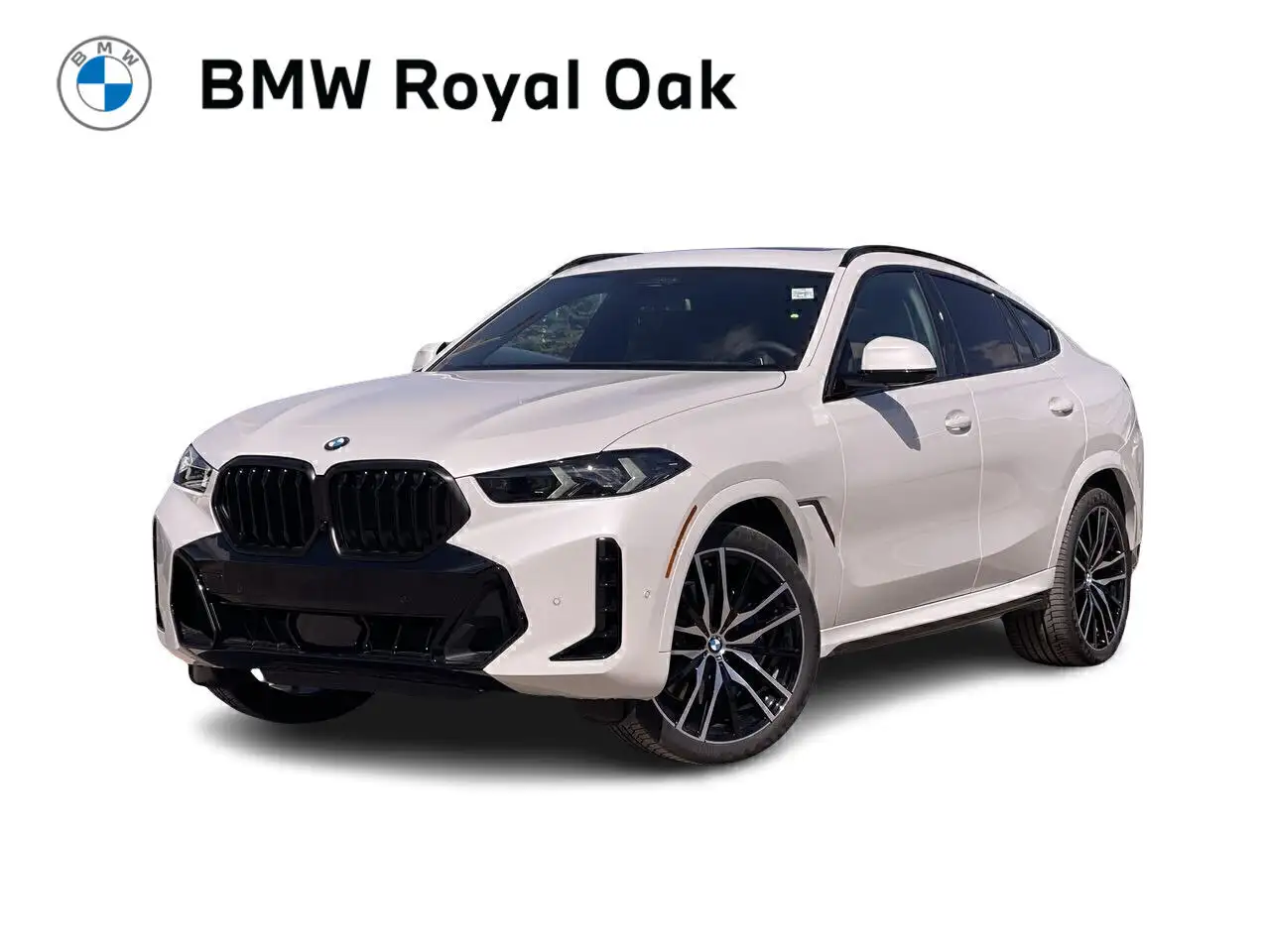 2026 BMW X6