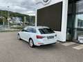 Skoda Superb iV Style DSG Weiß - thumbnail 4