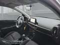 Kia Picanto X-Line 1.2 Automatik 84PS Navi Allwetterreifen Plateado - thumbnail 12