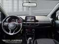 Kia Picanto X-Line 1.2 Automatik 84PS Navi Allwetterreifen Plateado - thumbnail 9