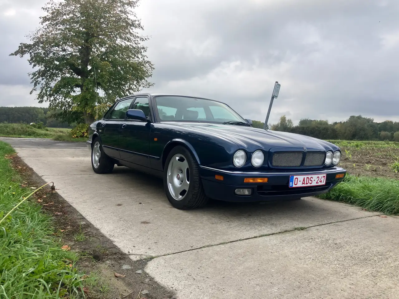 Jaguar XJR