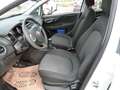 Fiat Punto Pop Blanc - thumbnail 9
